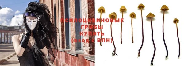 сатива Балабаново